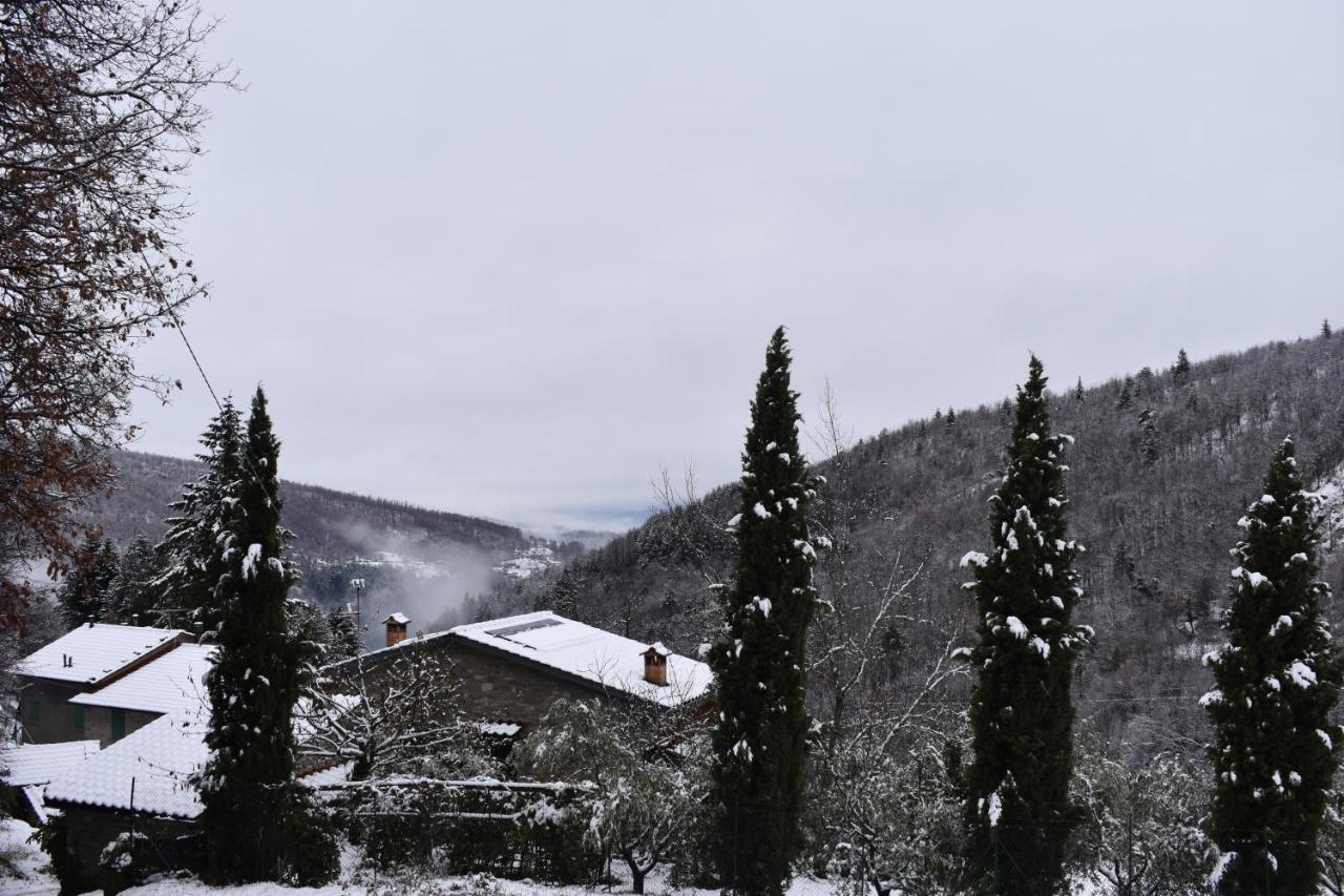 Casa Titina Riposo E Relax Nella Campagna Toscana Пратовеккьо Экстерьер фото