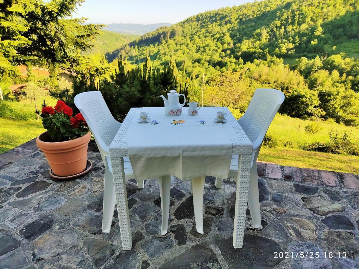 Casa Titina Riposo E Relax Nella Campagna Toscana Пратовеккьо Экстерьер фото