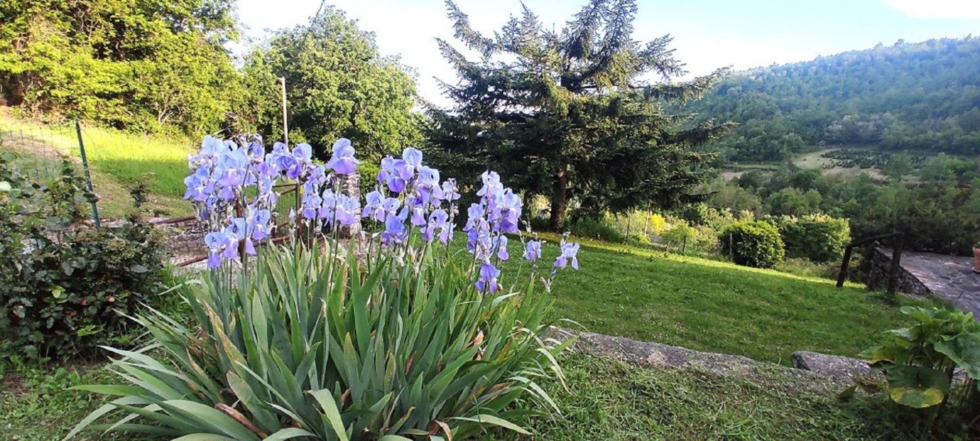 Casa Titina Riposo E Relax Nella Campagna Toscana Пратовеккьо Экстерьер фото